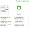 Sberbank credit card Visa Gold or Mastercard - what to choose?