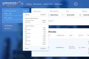 So holen Sie das Beste aus dem Aeroflot-Bonus heraus