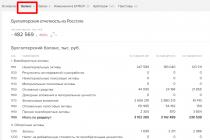 Enterprise balance sheet form (download)