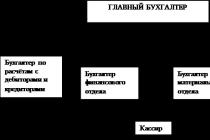 Raport de practică: Raport de practică privind economia organizației