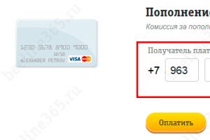 Ako doplniť účet Beeline z bankovej karty Sberbank